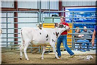 LCFair2016-5063.jpg