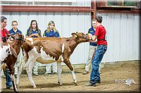 LCFair2016-5065.jpg