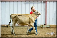 LCFair2016-5067.jpg