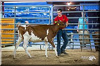 LCFair2016-5069.jpg