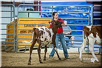 LCFair2016-5071.jpg