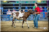 LCFair2016-5074.jpg