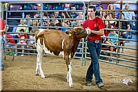 LCFair2016-5075.jpg