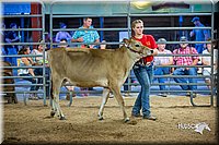 LCFair2016-5077.jpg