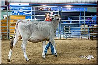 LCFair2016-5078.jpg