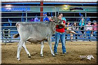 LCFair2016-5079.jpg