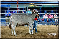 LCFair2016-5081.jpg