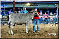 LCFair2016-5082.jpg