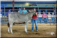 LCFair2016-5084.jpg