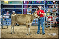 LCFair2016-5085.jpg