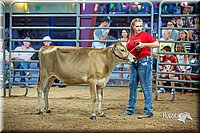 LCFair2016-5086.jpg