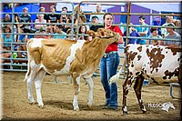 LCFair2016-5088.jpg