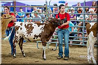 LCFair2016-5089.jpg