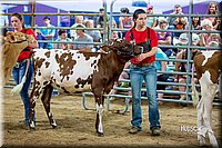 LCFair2016-5090.jpg