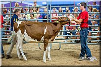 LCFair2016-5091.jpg