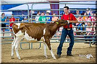 LCFair2016-5092.jpg