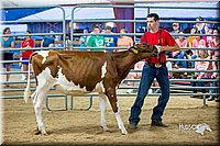 LCFair2016-5093.jpg