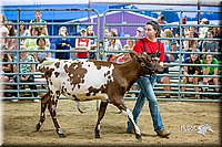 LCFair2016-5094.jpg