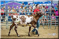 LCFair2016-5095.jpg