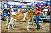 LCFair2016-5096.jpg