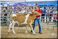 LCFair2016-5098.jpg