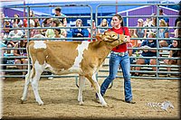 LCFair2016-5099.jpg