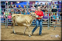 LCFair2016-5100.jpg