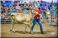 LCFair2016-5101.jpg