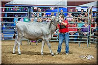 LCFair2016-5102.jpg