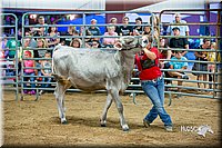 LCFair2016-5103.jpg