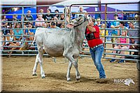 LCFair2016-5104.jpg