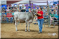 LCFair2016-5105.jpg