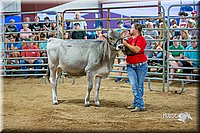 LCFair2016-5106.jpg