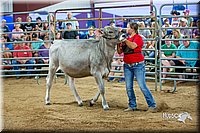 LCFair2016-5107.jpg