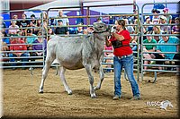 LCFair2016-5108.jpg