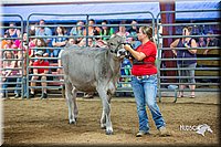 LCFair2016-5110.jpg