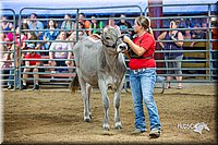 LCFair2016-5111.jpg