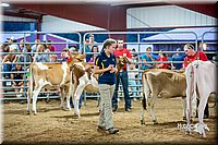 LCFair2016-5112.jpg