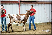 LCFair2016-5113.jpg