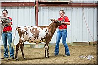 LCFair2016-5114.jpg