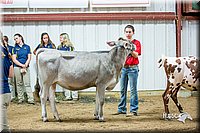 LCFair2016-5115.jpg