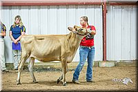 LCFair2016-5117.jpg