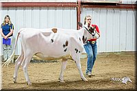 LCFair2016-5122.jpg