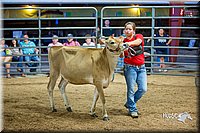 LCFair2016-5123.jpg