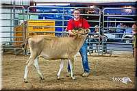 LCFair2016-5124.jpg