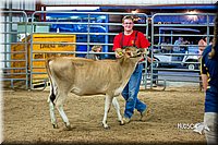 LCFair2016-5125.jpg