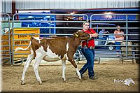 LCFair2016-5126.jpg