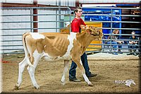 LCFair2016-5127.jpg