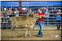 LCFair2016-5128.jpg