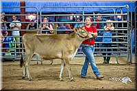 LCFair2016-5129.jpg